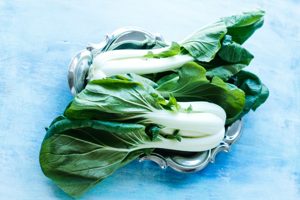 bokchoy-vegetable-claudialeclercq