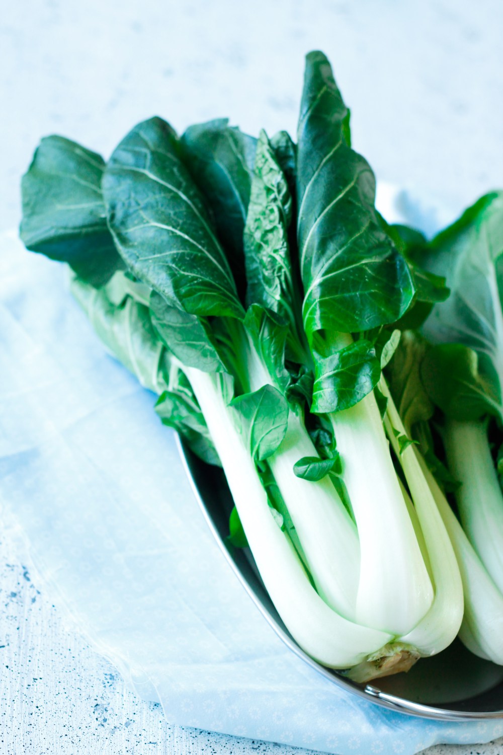 pakchoi-claudialeclercq-dusoleildanslenord