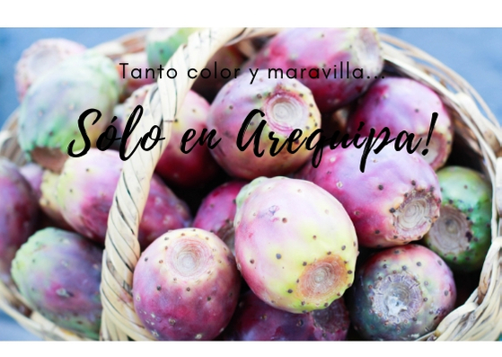 pricklypear-basket-beautiful