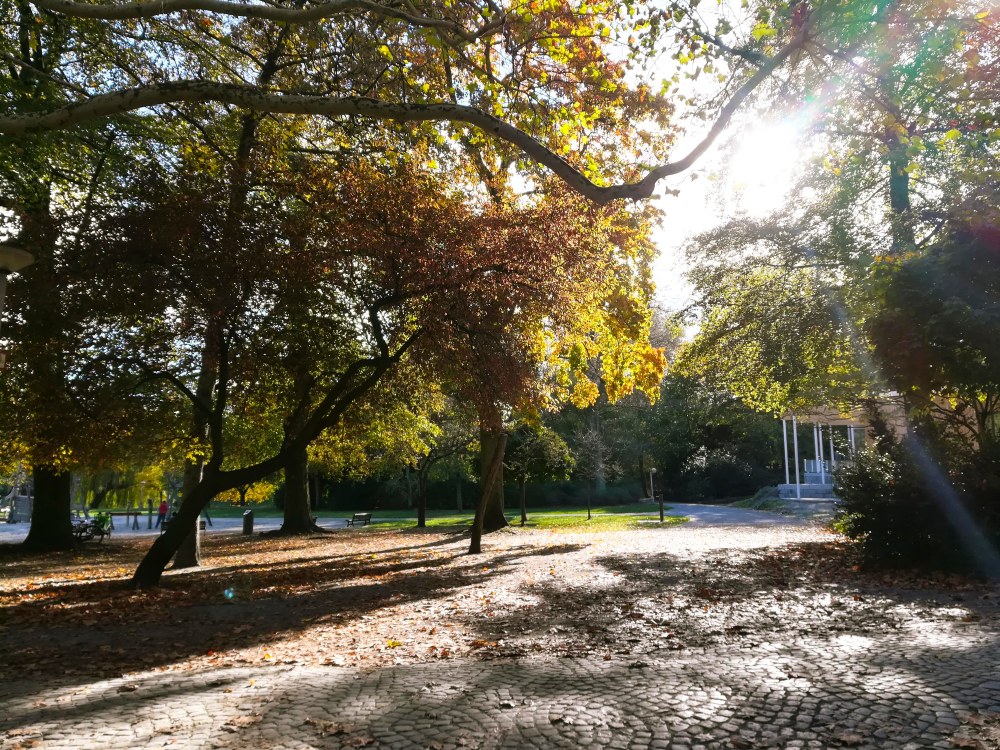 antwerp-claudialeclercq-dusoleildanslenord-anvers-11