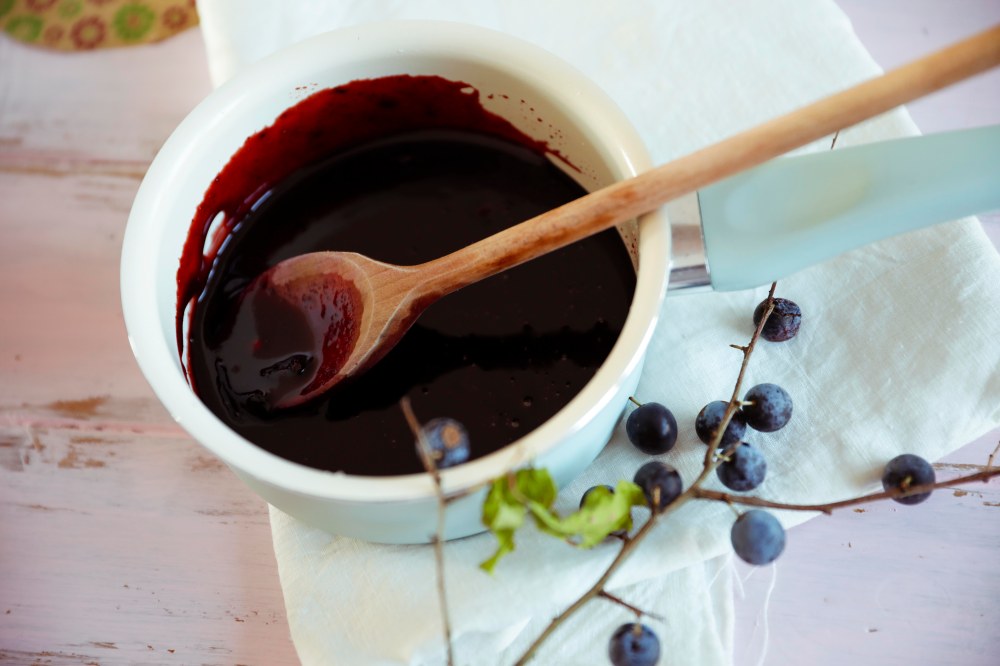 sloeberryjelly-prunelles-claudialeclercq