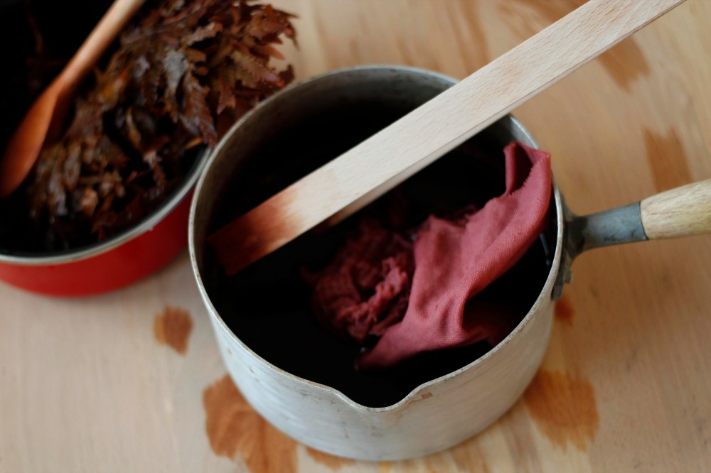 vegetaldyeing-claudialeclercq-viajebotanico2