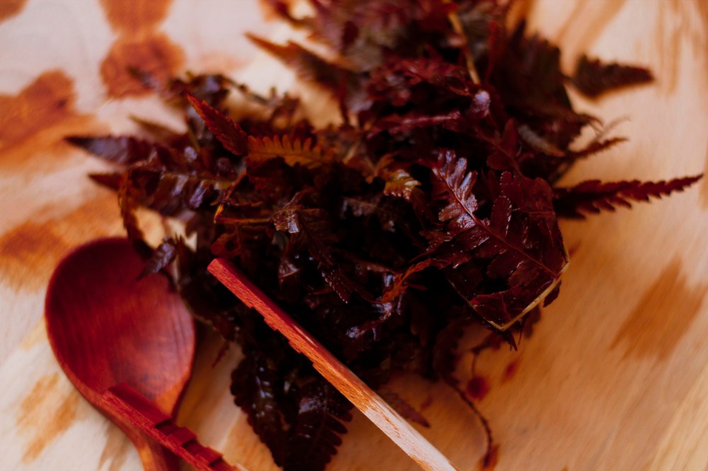 vegetaldyeing-claudialeclercq-viajebotanico3